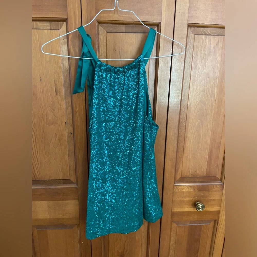 Tahari Dawn Blouse - Picture 3 of 4